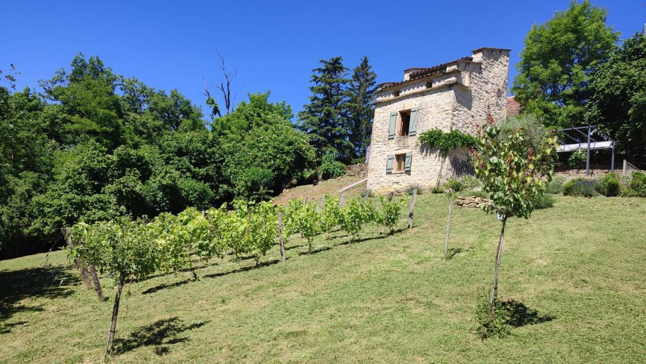 Le Pigeonnier De Felines Vila Caylus Exterior foto